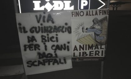 "Via dagli scaffali Lidl il guinzaglio da bici per cani, è vietato"