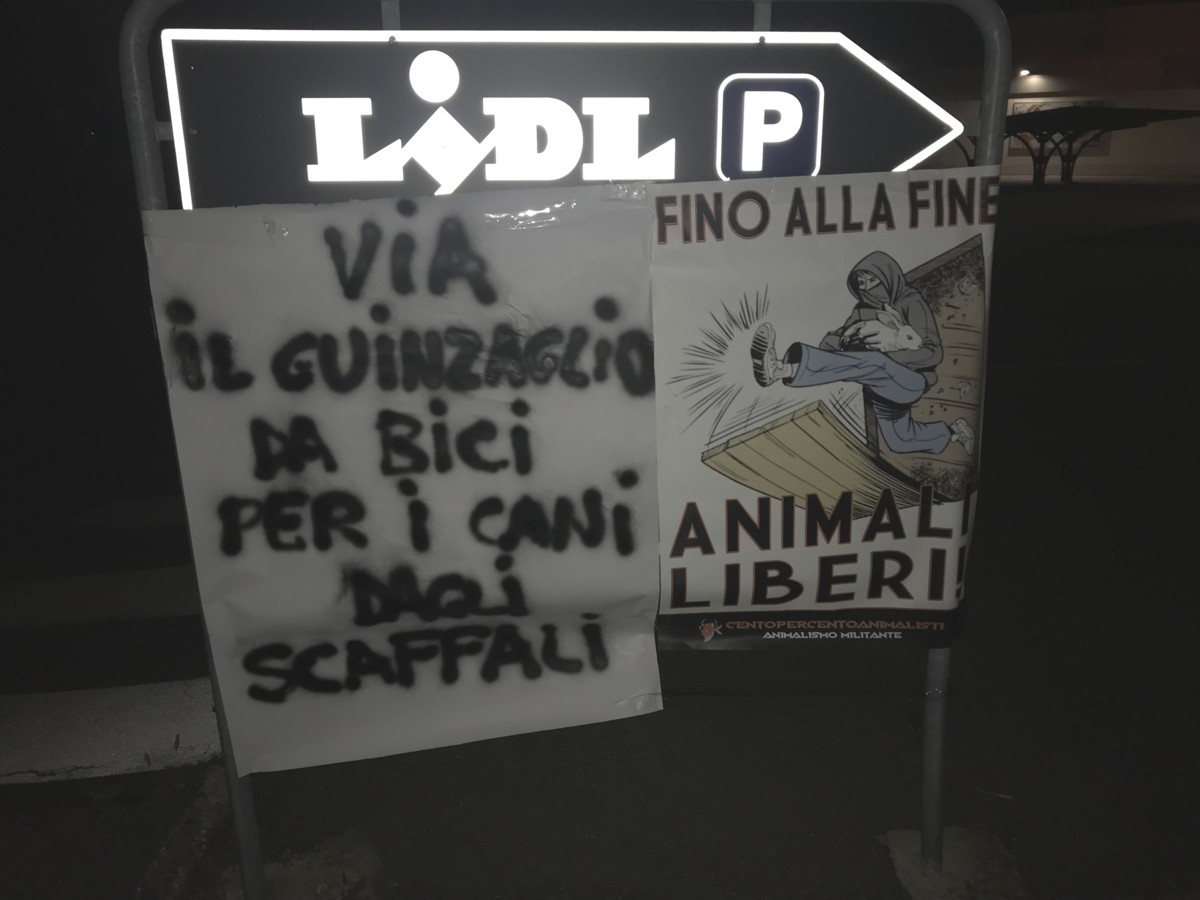 “Via dagli scaffali Lidl il guinzaglio da bici per cani, è vietato”