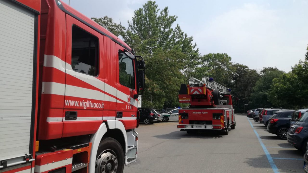 Ramo pericolante a Legnano: pompieri in azione