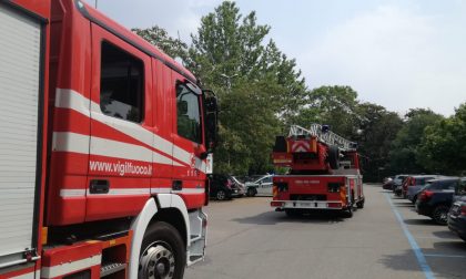 Ramo pericolante a Legnano: pompieri in azione