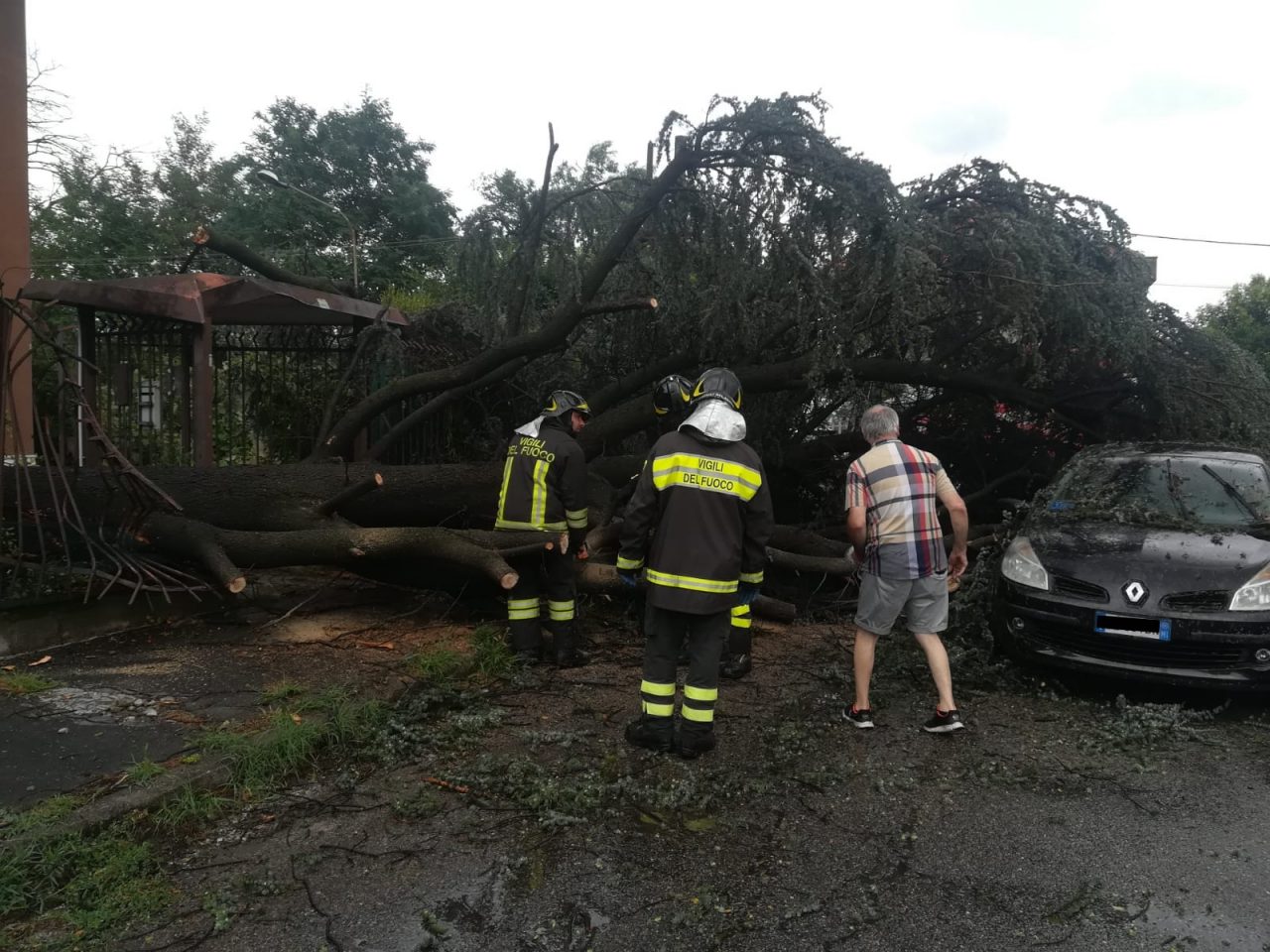 Paura a Cerro Maggiore: albero cade su un’auto in marcia FOTO