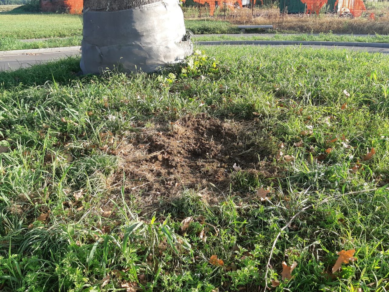Boato a Cantalupo: paura tra i residenti FOTO