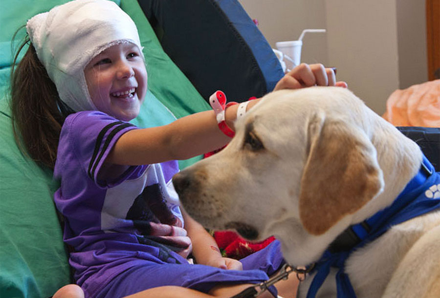 Pet Therapy, al via un corso al Centro Parco Polveriera di Solaro