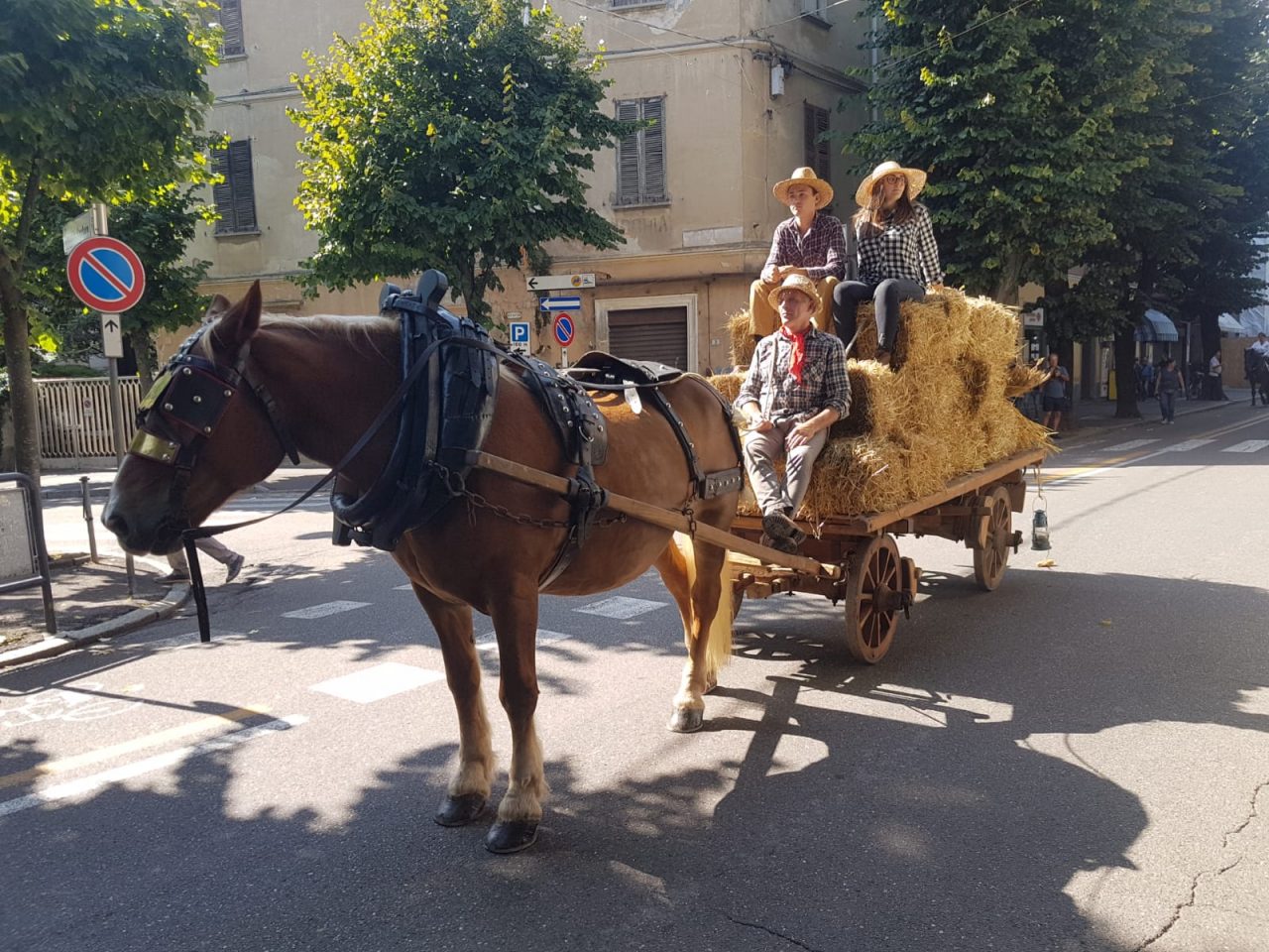 FIERA ZOOTECNICA DI TRADATE