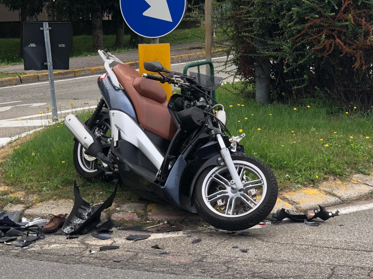 Cervo attraversa la Monza Saronno: violento impatto con una moto VIDEO
