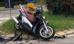 Cervo attraversa la Monza Saronno: violento impatto con una moto VIDEO