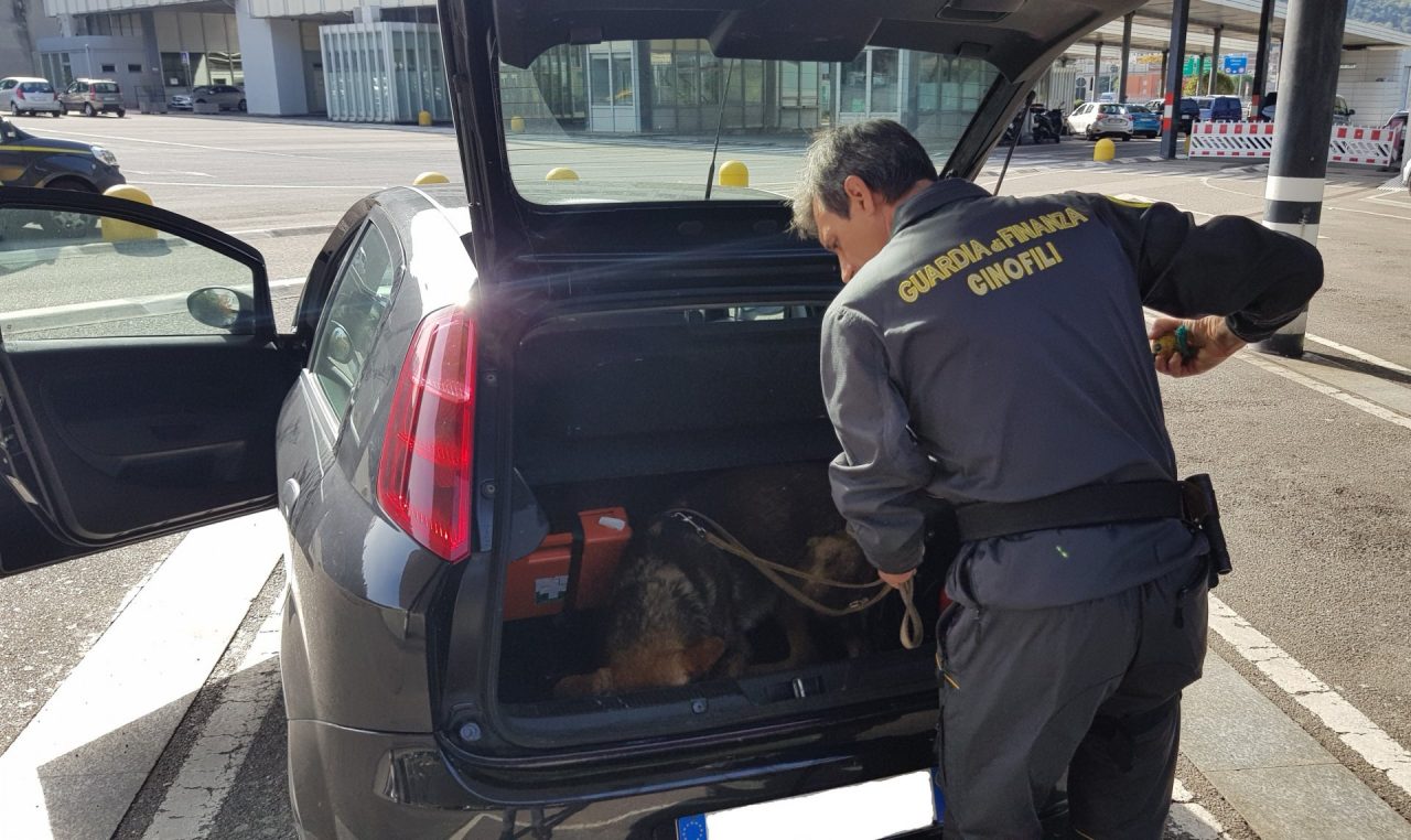 Derek, in dogana l’agente con un fiuto particolare per i soldi – VIDEO