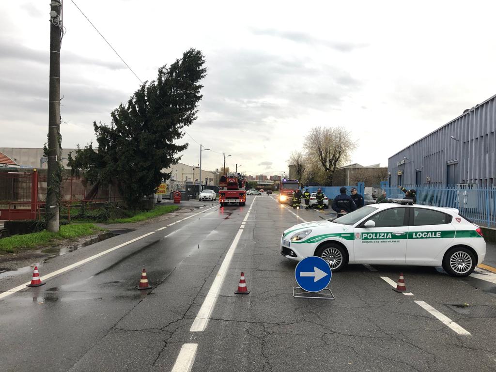 Maltempo a Settimo, crolla un grosso albero in via Edison