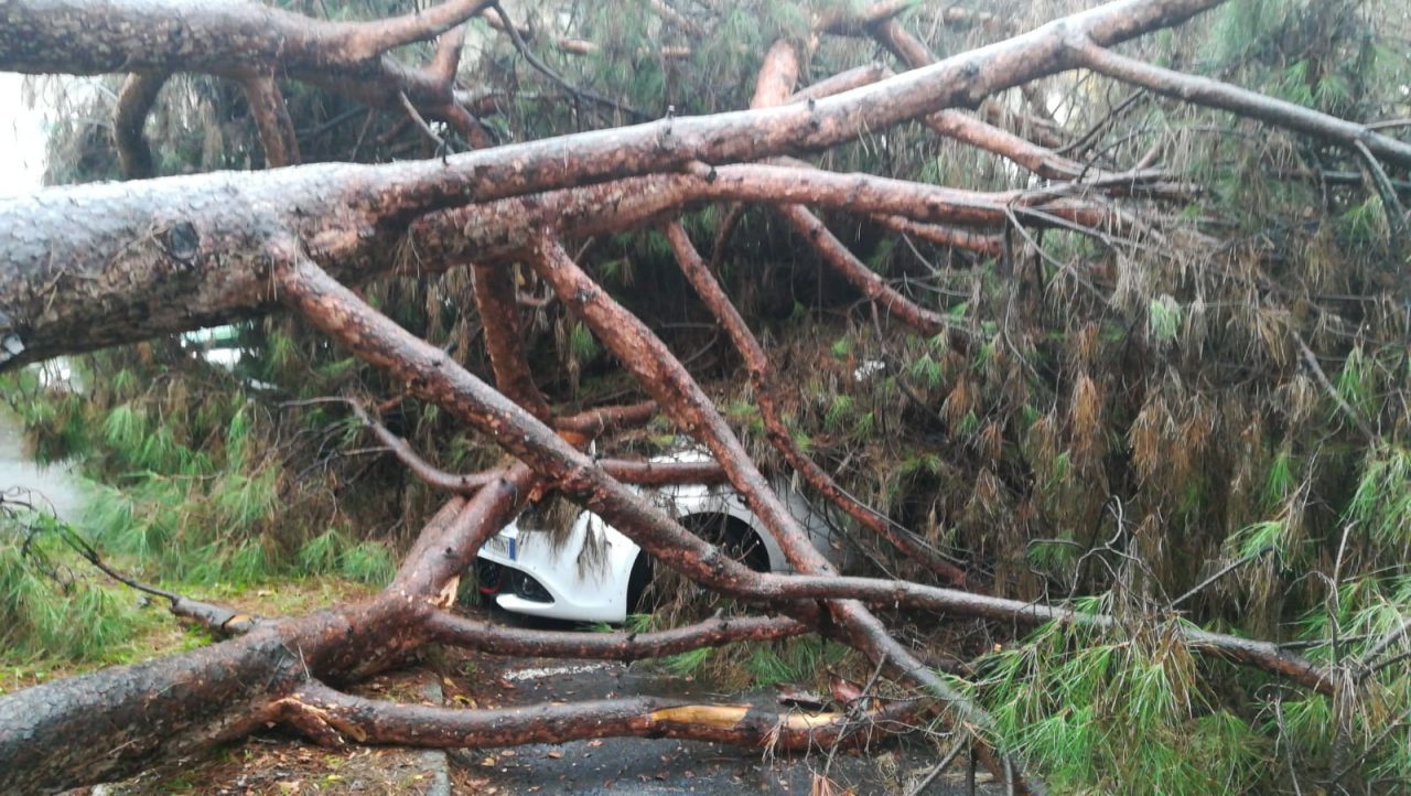 Forte boato a Castellanza: albero cade su un’auto parcheggiata FOTO