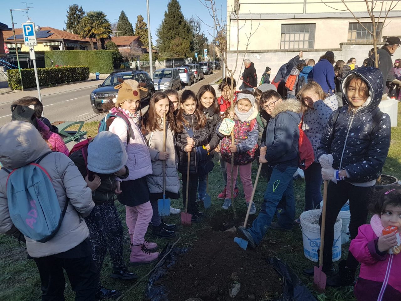 festa dell'albero venegono superiore