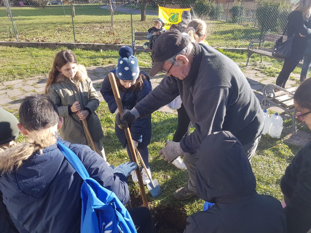 festa dell'albero venegono superiore