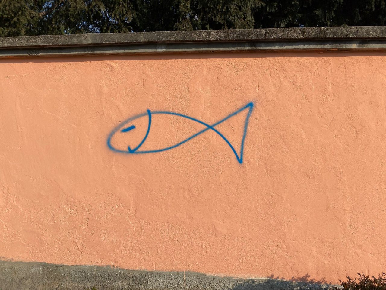 Spunta pesce sul muro di Casa Morandi a Saronno