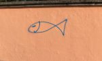 Spunta pesce sul muro di Casa Morandi a Saronno