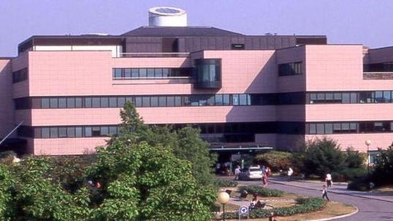 Incidente sul lavoro, operaio precipita da piattaforma: gravissimo