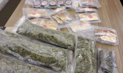 Nascondeva droga (vera) in un capanno: arrestato coltivatore di cannabis light FOTO