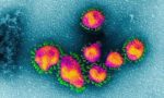 Coronavirus, primo decesso a Inveruno