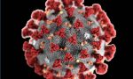 Coronavirus, contagiata un'operatrice della rsa Fondazione Sant'Erasmo