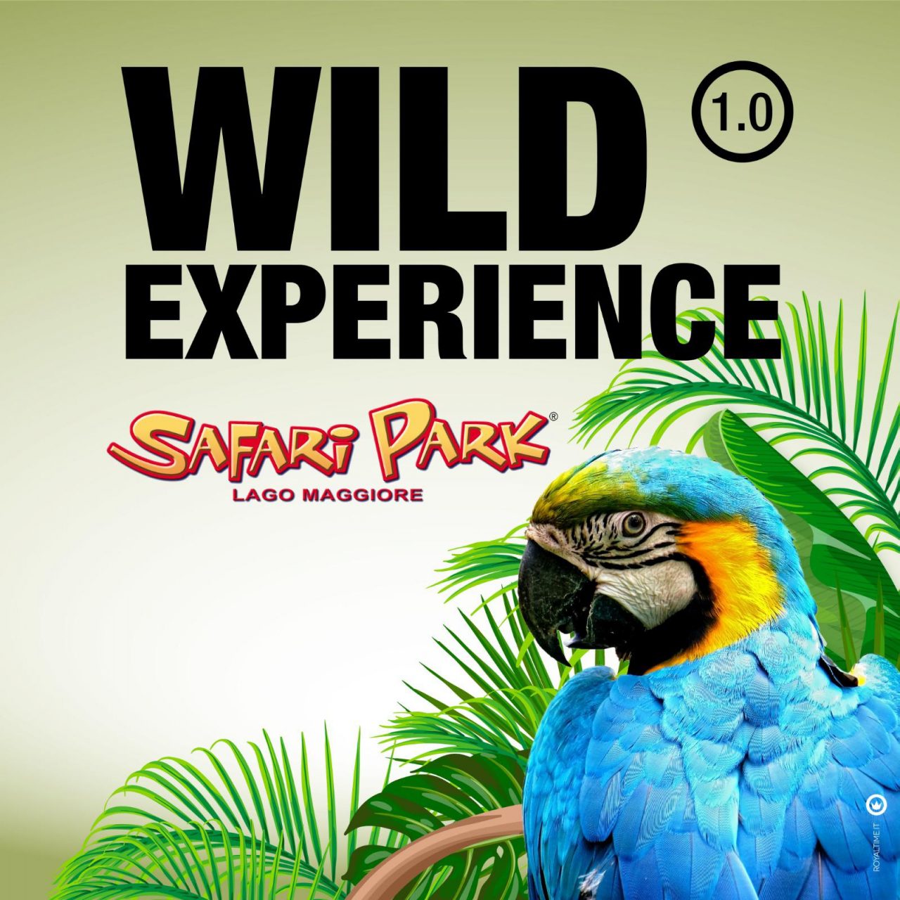Safari Park: al via la nuova stagione