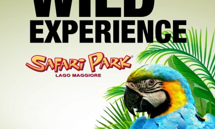 Safari Park: al via la nuova stagione