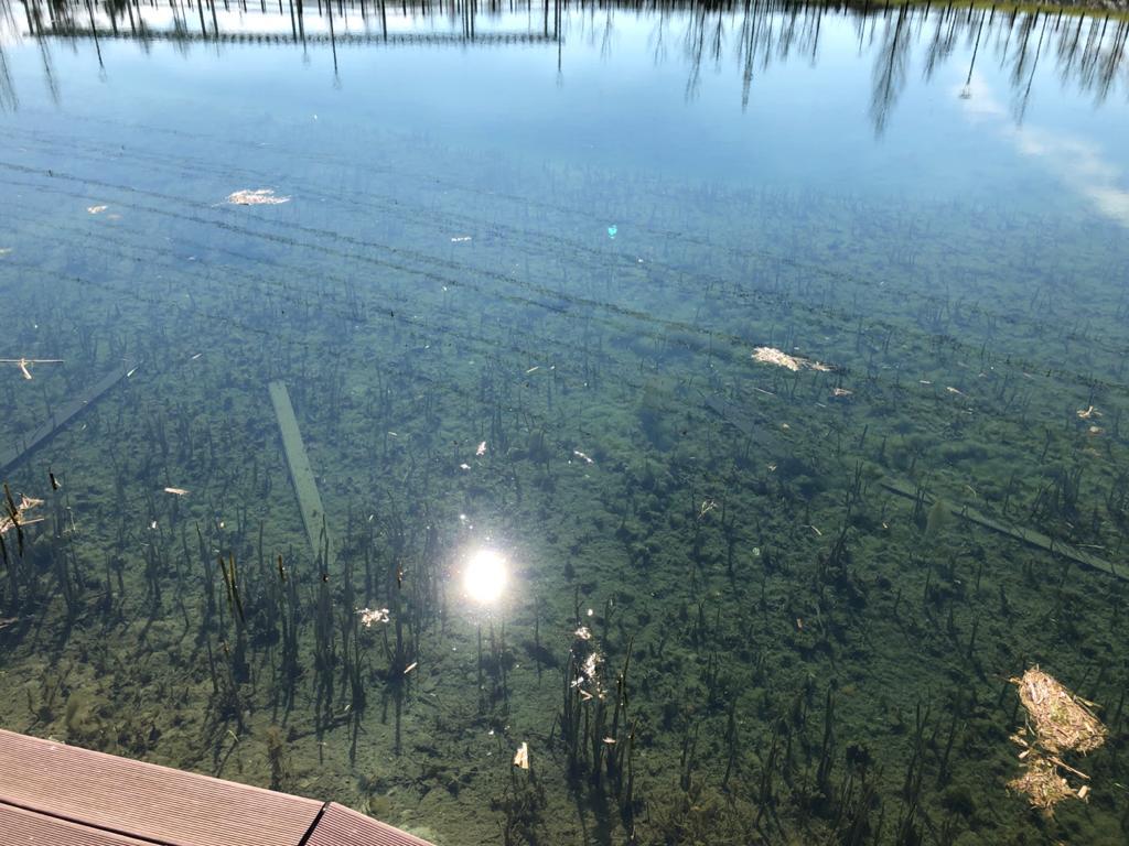 Atti vandalici a Sansovino: assi rotte gettate nel lago
