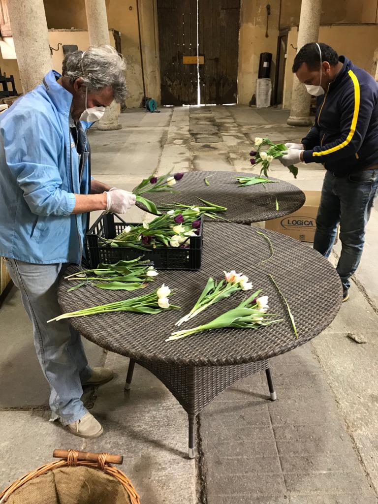 Villa Arconati – Far regala tulipani ai volontari