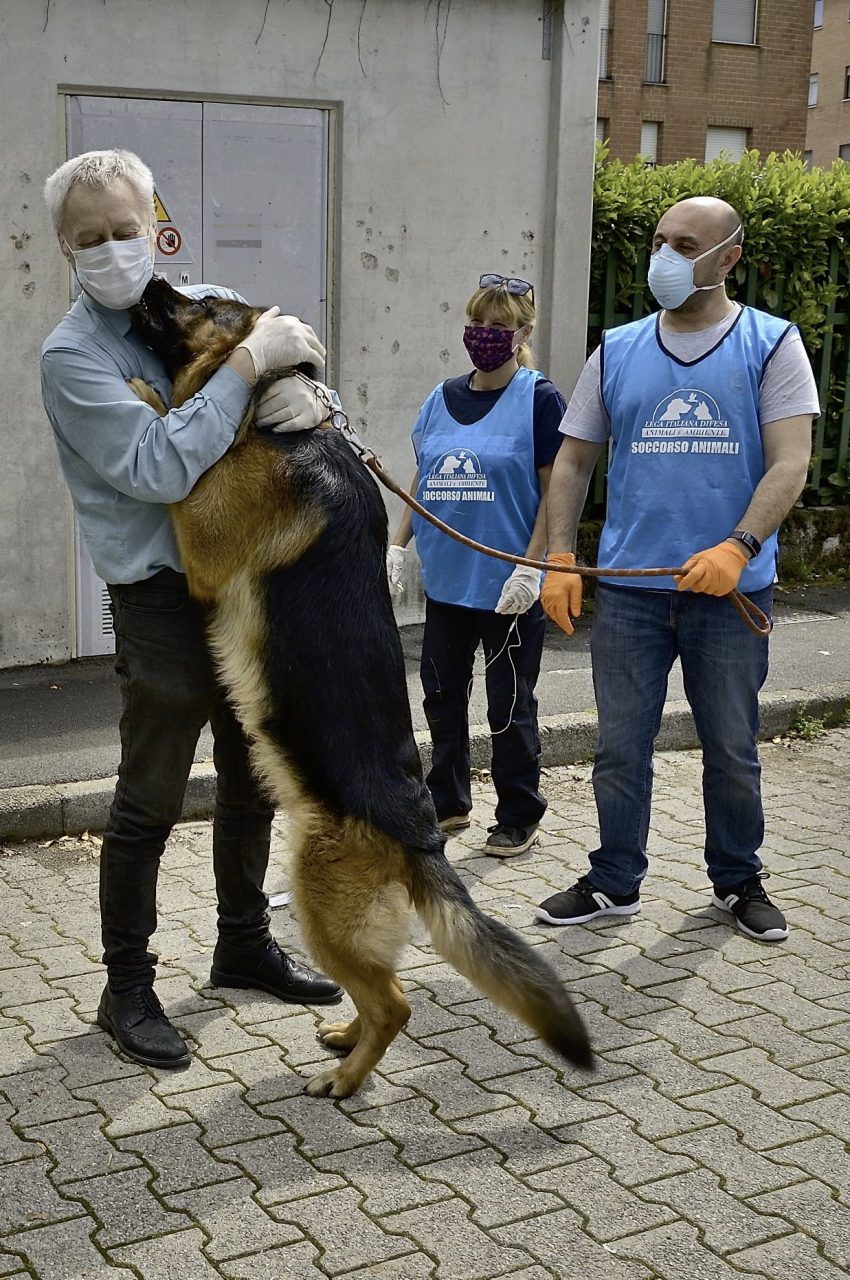 L’emozionante incontro tra il cane e i suoi padroni usciti dall’ospedale dopo aver sconfitto il Coronavirus FOTO e VIDEO