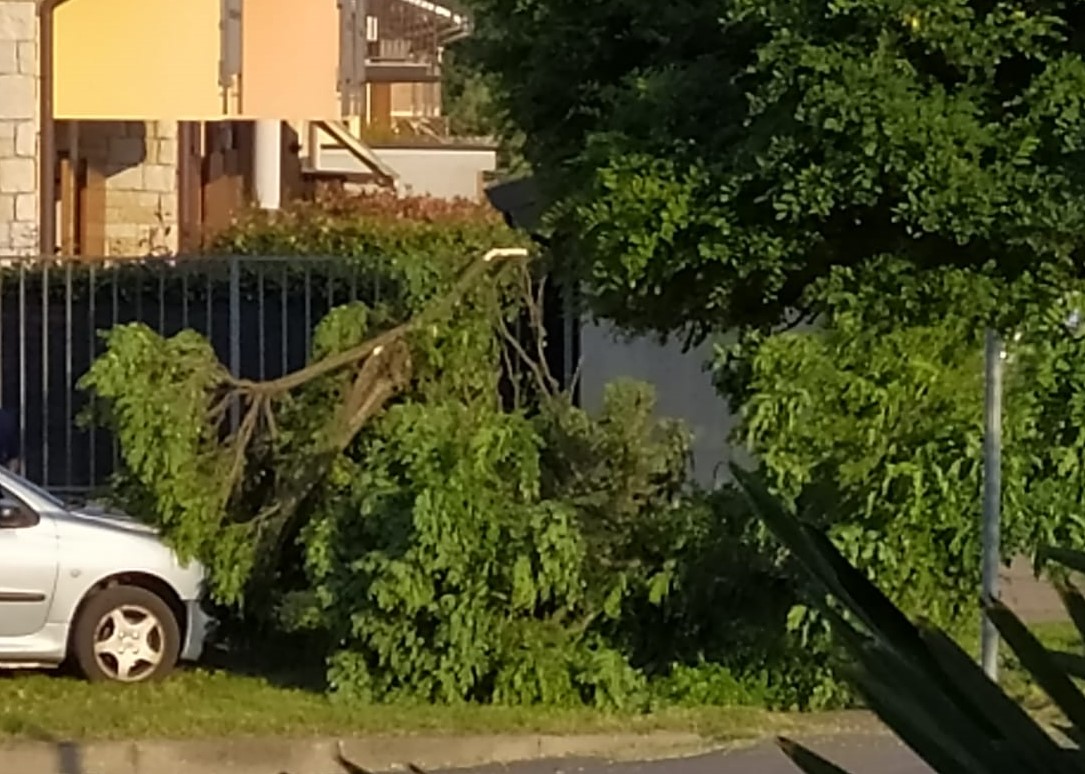 Parabiago3