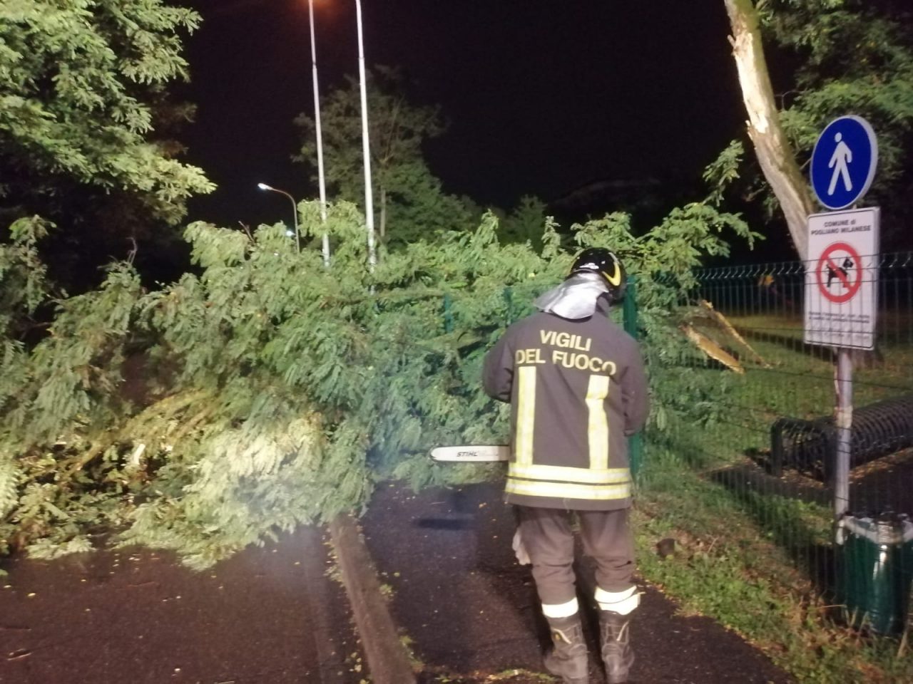 Maltempo: fulmine abbatte un albero che cade in strada FOTO