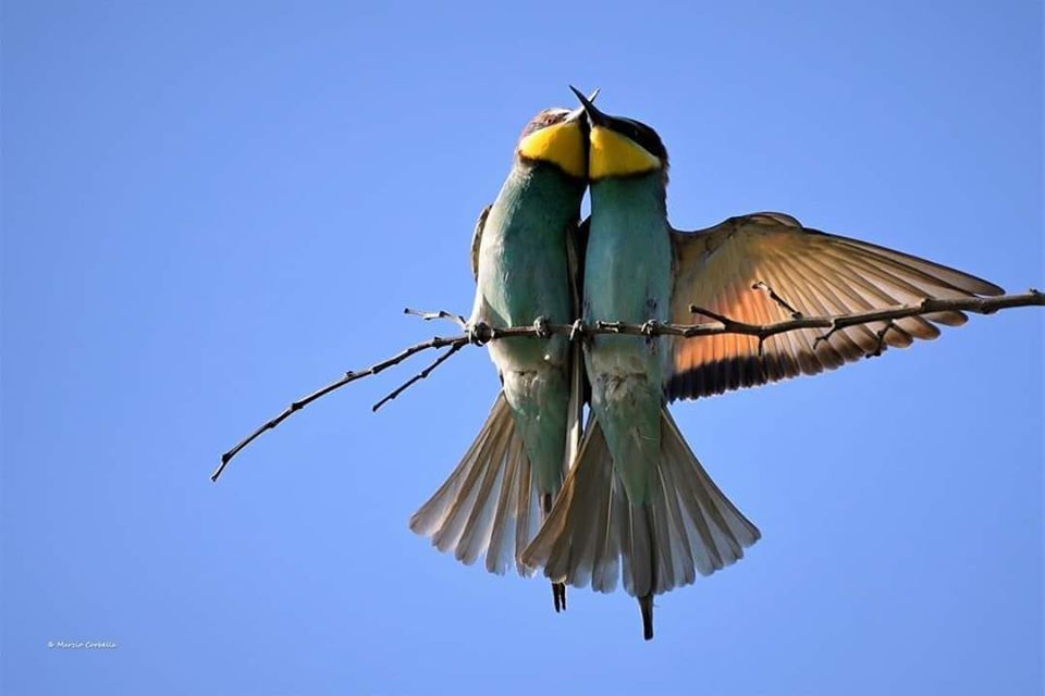 Ottava edizione di Mulino day: “Self Mode. La natura ti richiama”