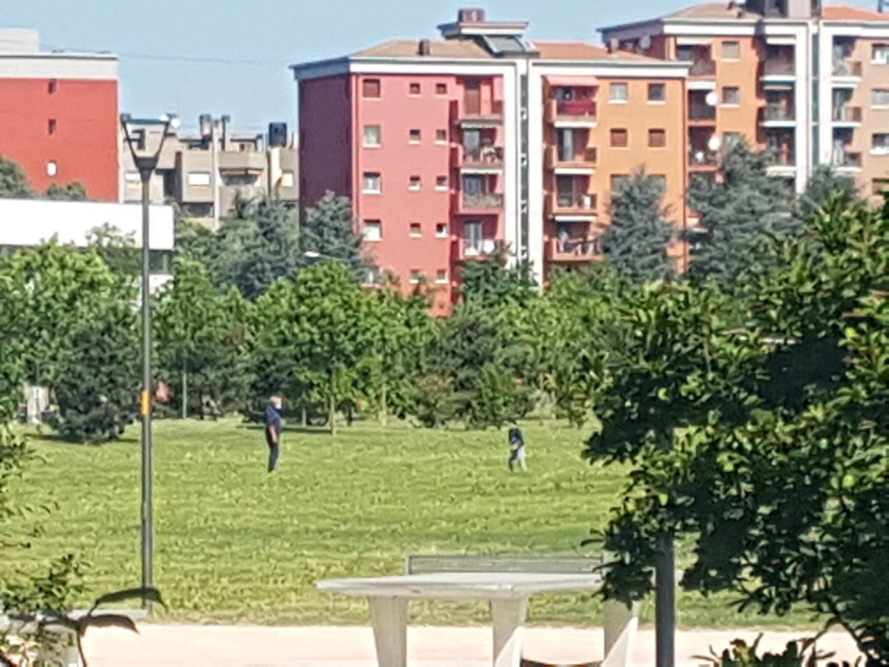 Sevizi di pulizia intensificati in parchi e giardini