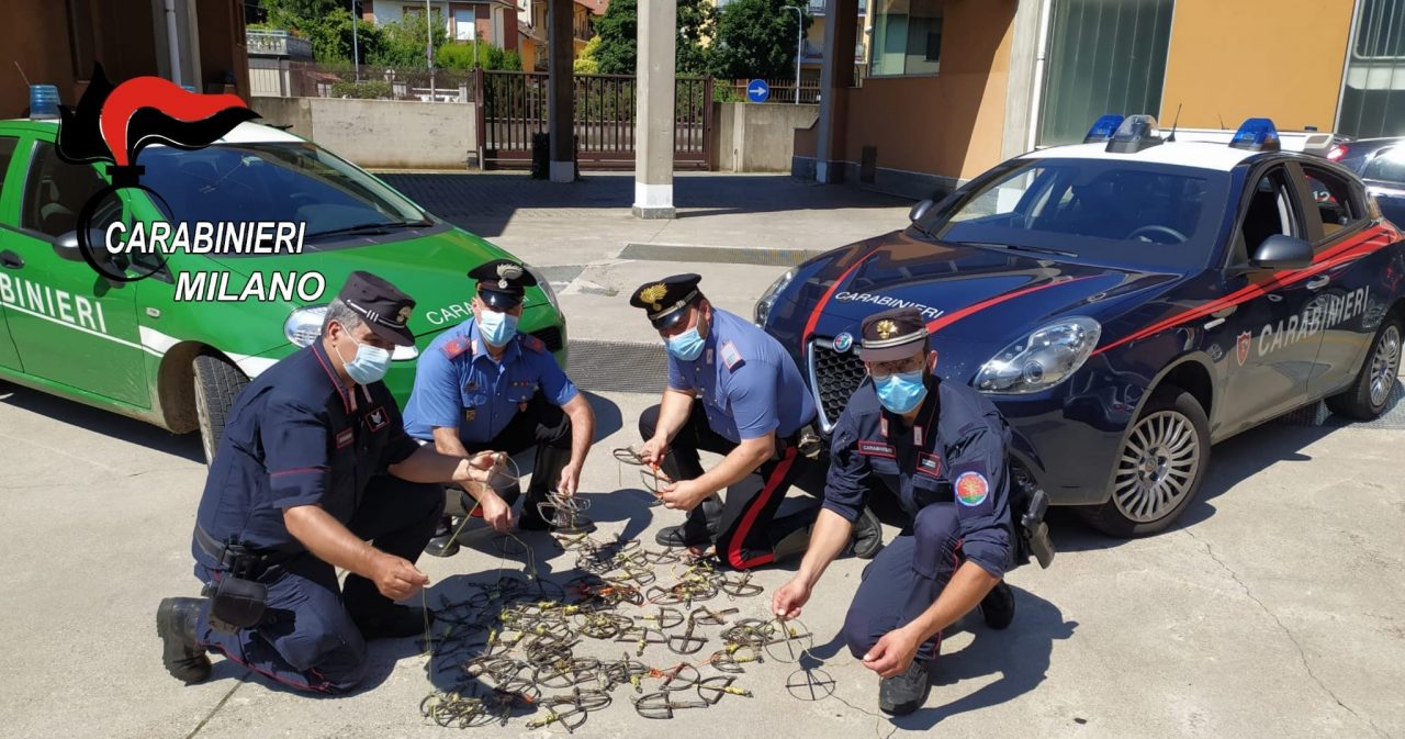 20 ghiri morti e 70 tagliole nascosti nel bagagliaio: denunciati due italiani