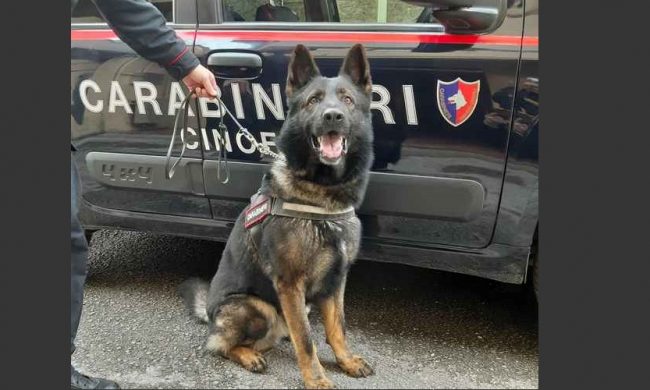 Spacciatore apre la stagione dei “saldi” sulla droga, ma arrivano i Carabinieri