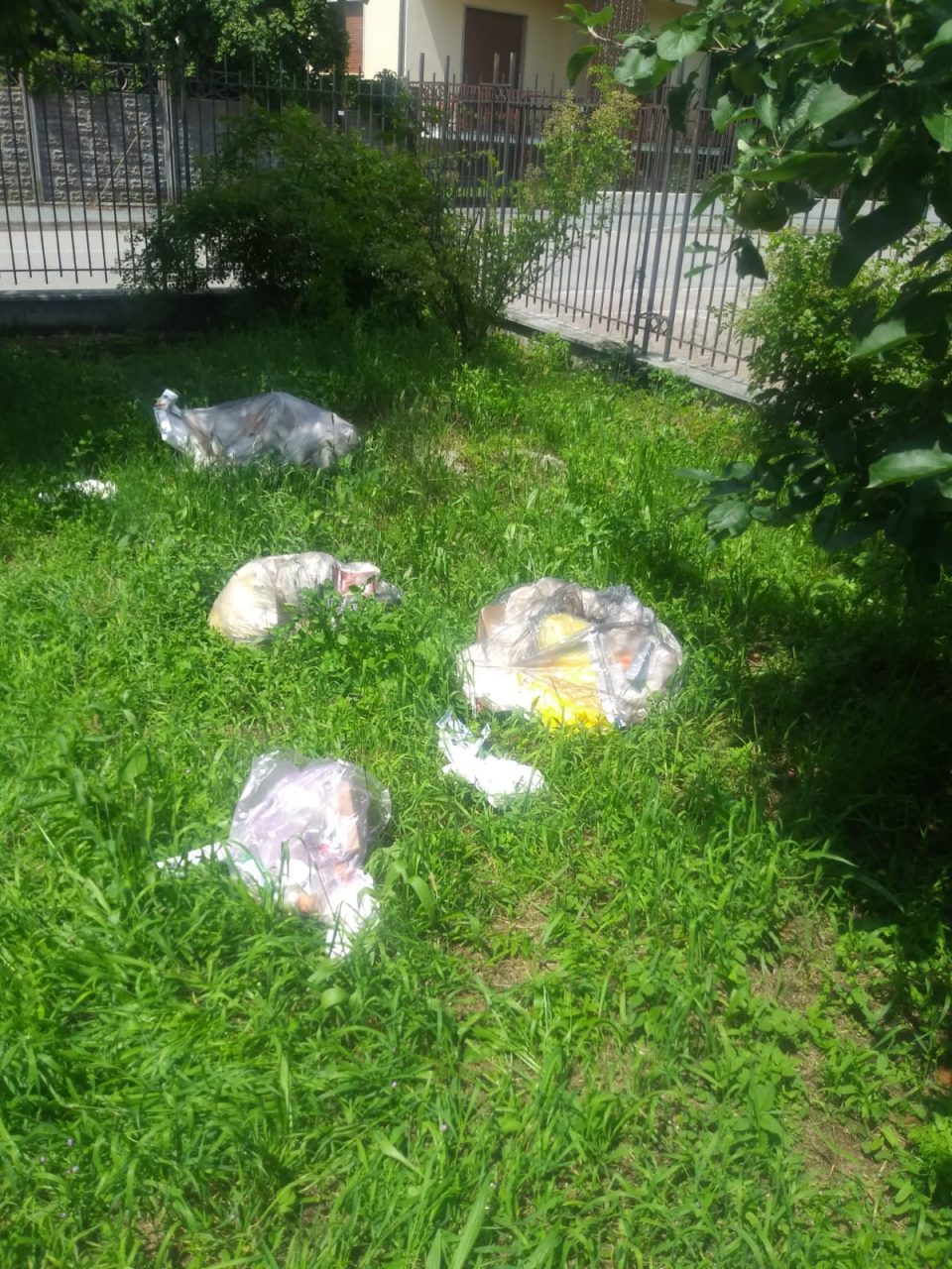 Butta la spazzatura nel parco: la denuncia di UILDM