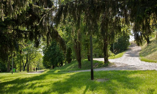 Stupro al Monte Stella, individuato il presunto colpevole: un senegalese già noto con diversi alias