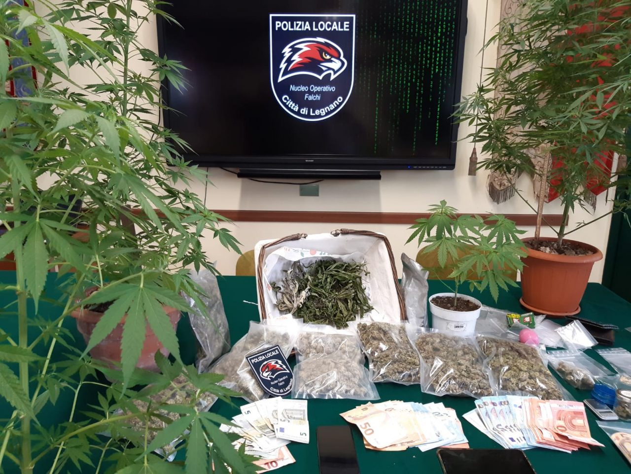 I Falchi sequestrano un chilo di marijuana