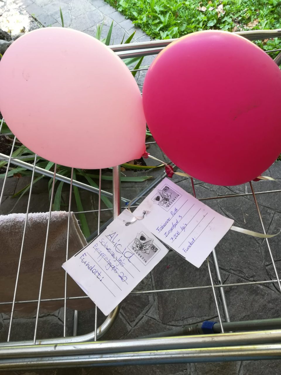 Due palloncini messaggeri dalla Svizzera a Novate
