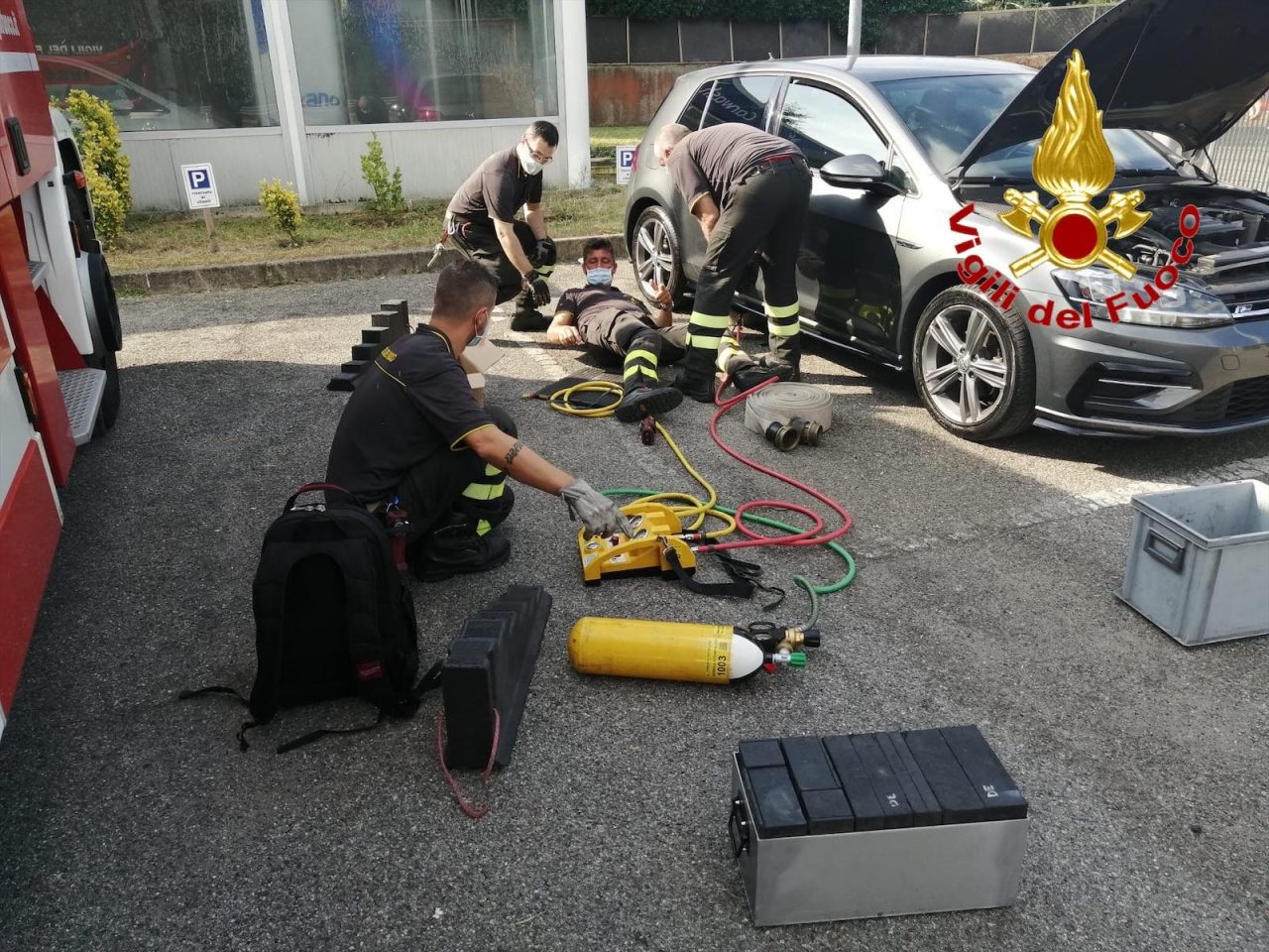 Gatto nel motore liberato dai Vigili del fuoco