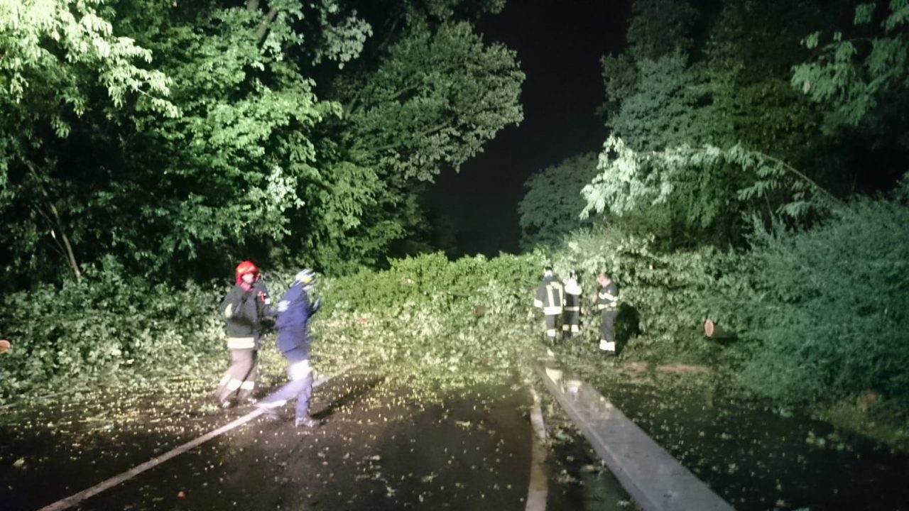Tre alberi cadono in strada per il maltempo FOTO