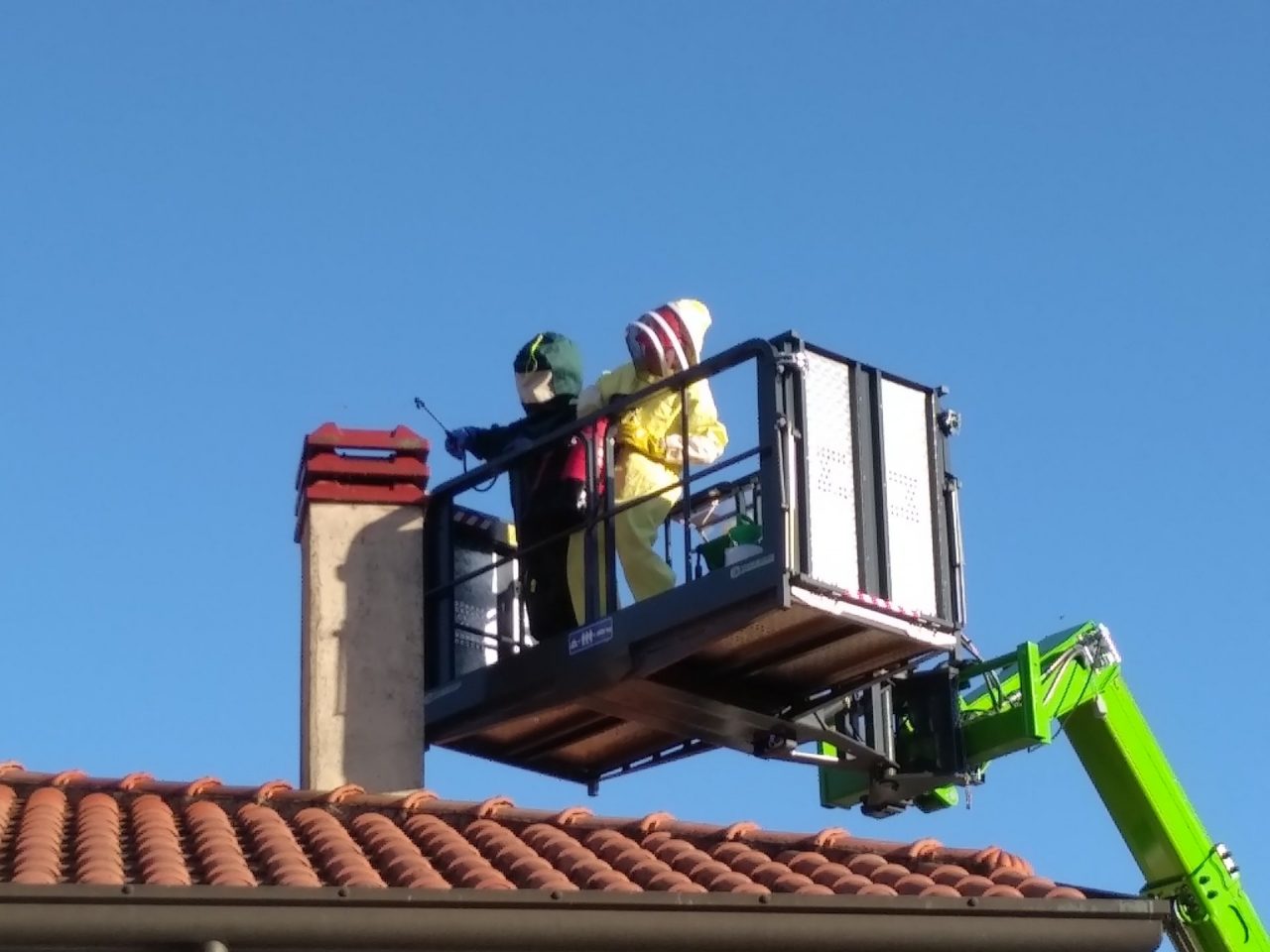 Vespe e calabroni? Ci pensa la Protezione Civile