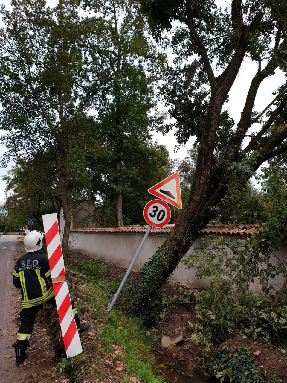 Maltempo, alberi caduti a Arese e Bollate