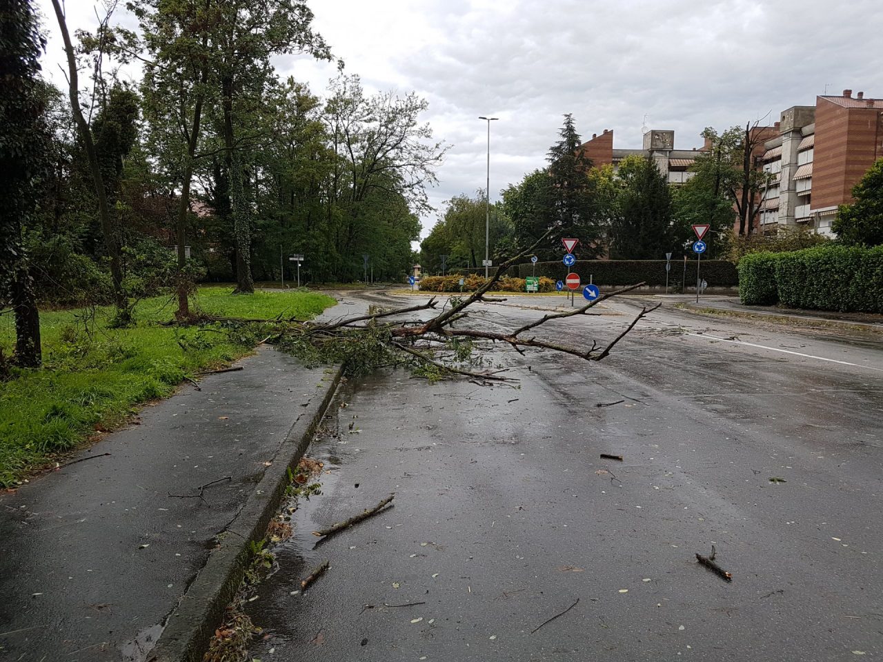 Maltempo, alberi caduti a Rescaldina