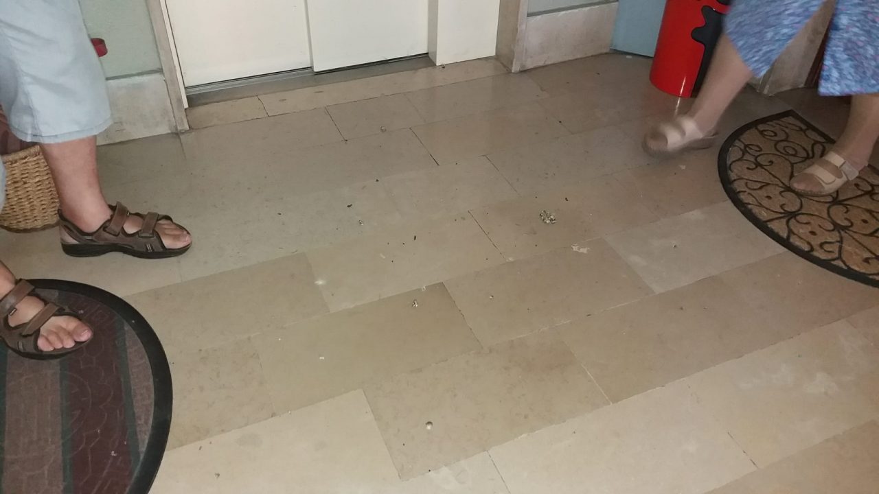 Case Aler invase dai piccioni: "Ora basta!"