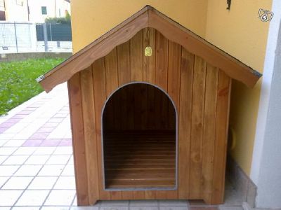 Lancia la cuccia del cane contro moglie e suocera, marito violento finisce in cella