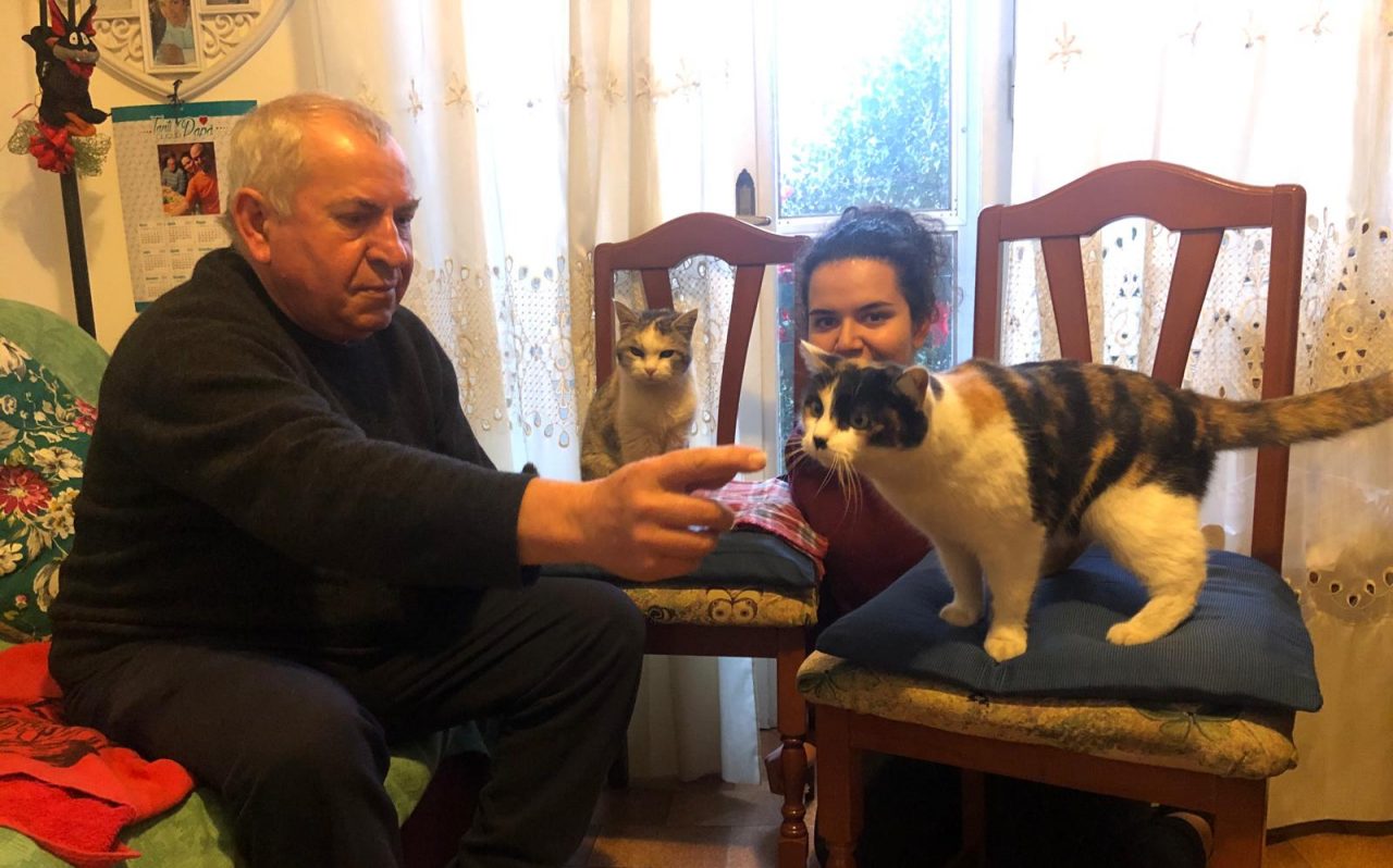 “Lilli” è la gatta da record: ha compiuto ben 25 anni FOTO