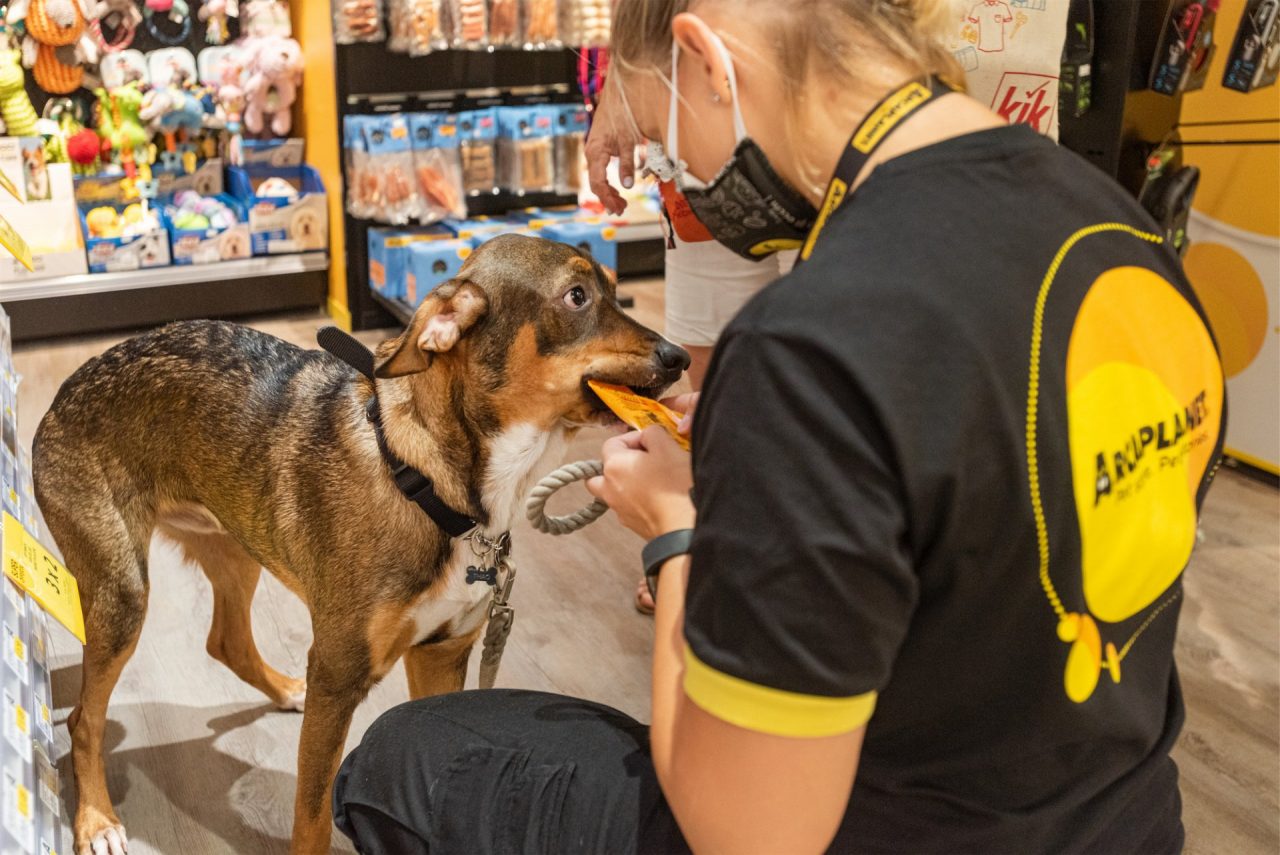 Un nuovo pet store Arcaplanet nel pieno centro di Milano