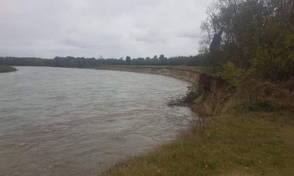 È allarme per il Ticino a Castelletto: le piogge hanno ingrossato il fiume