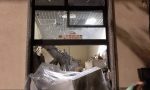 Nella notte hanno fatto esplodere un bancomat a Vanzaghello, ladri beccati in un box di Cernusco FOTO