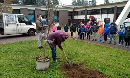 “Puliamo il mondo” nei giardini delle scuole FOTO