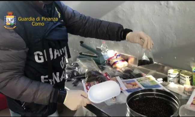 Nove tonnellate di prodotti mal conservati tra vermi e insetti scoperte dalla Finanza FOTO E VIDEO