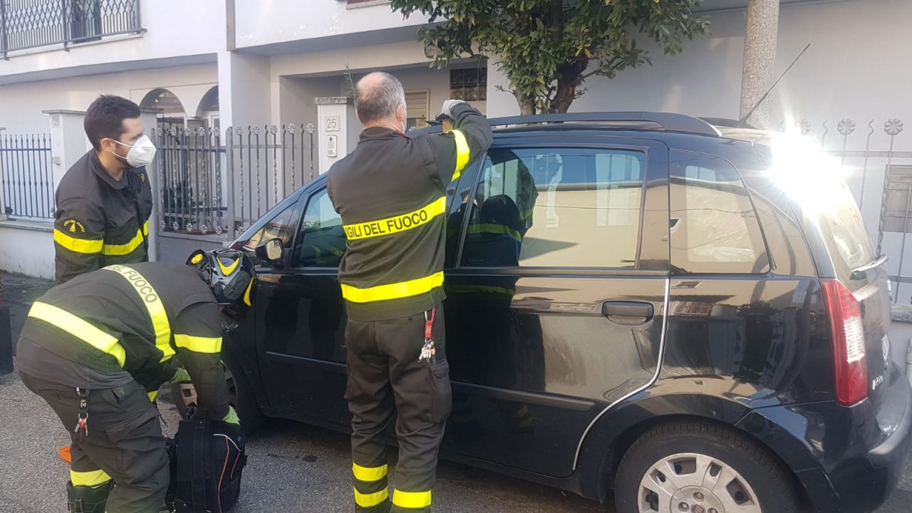 Cane rimane chiuso in auto con le chiavi: pompieri lo salvano